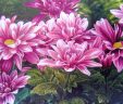 Картина Шелкография  Розовые  хризантемы