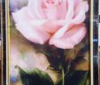 Картина Шелкография «Розовая роза»